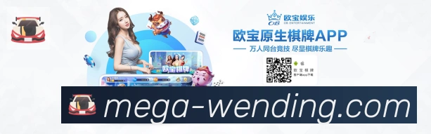 战术分析频道