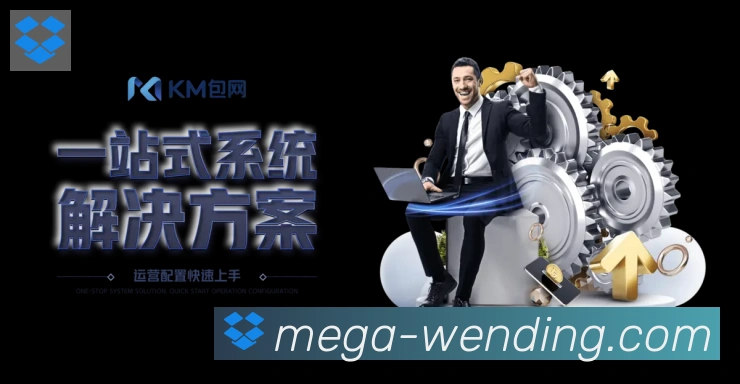 数据防护可视化